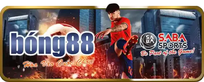 Cá cược đá gà kuwin789